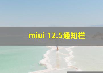 miui 12.5通知栏